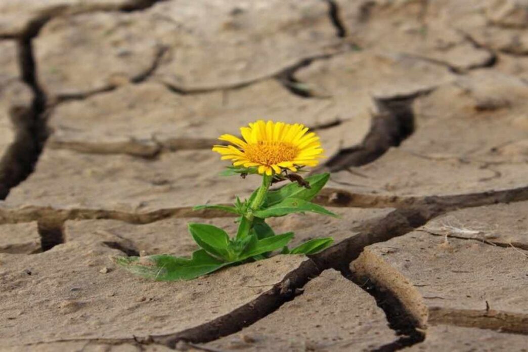 Gesù perdona sempre perché il Suo amore è infinito e incondizionato. Lui stesso ha vissuto in prima persona l’amore e la bontà verso i nemici.