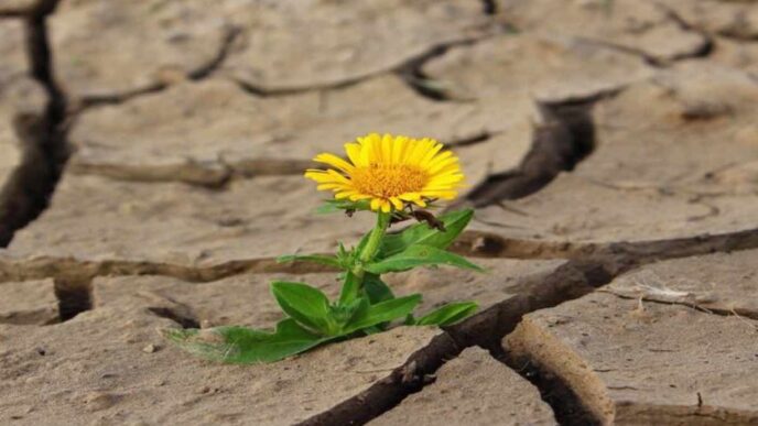 Gesù perdona sempre perché il Suo amore è infinito e incondizionato. Lui stesso ha vissuto in prima persona l’amore e la bontà verso i nemici.
