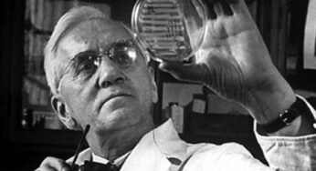 La straordinaria vita di Alexander Fleming: da una muffa a una rivoluzione antibiotica