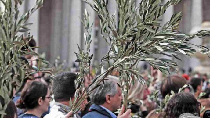 Domenica delle Palme: le cose da sapere per viverla al meglio