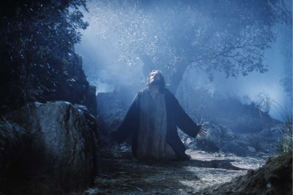 Il Vangelo di oggi 13 Aprile Domenica delle Palme