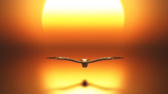 spirito santo