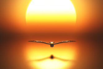 spirito santo