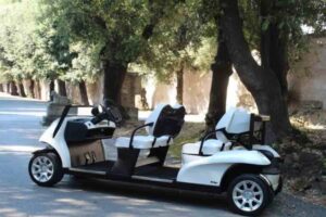 Due nuove “papamobile”, più verdi e leggere, che guardano al futuro della mobilità con lo stile sobrio del Vangelo.