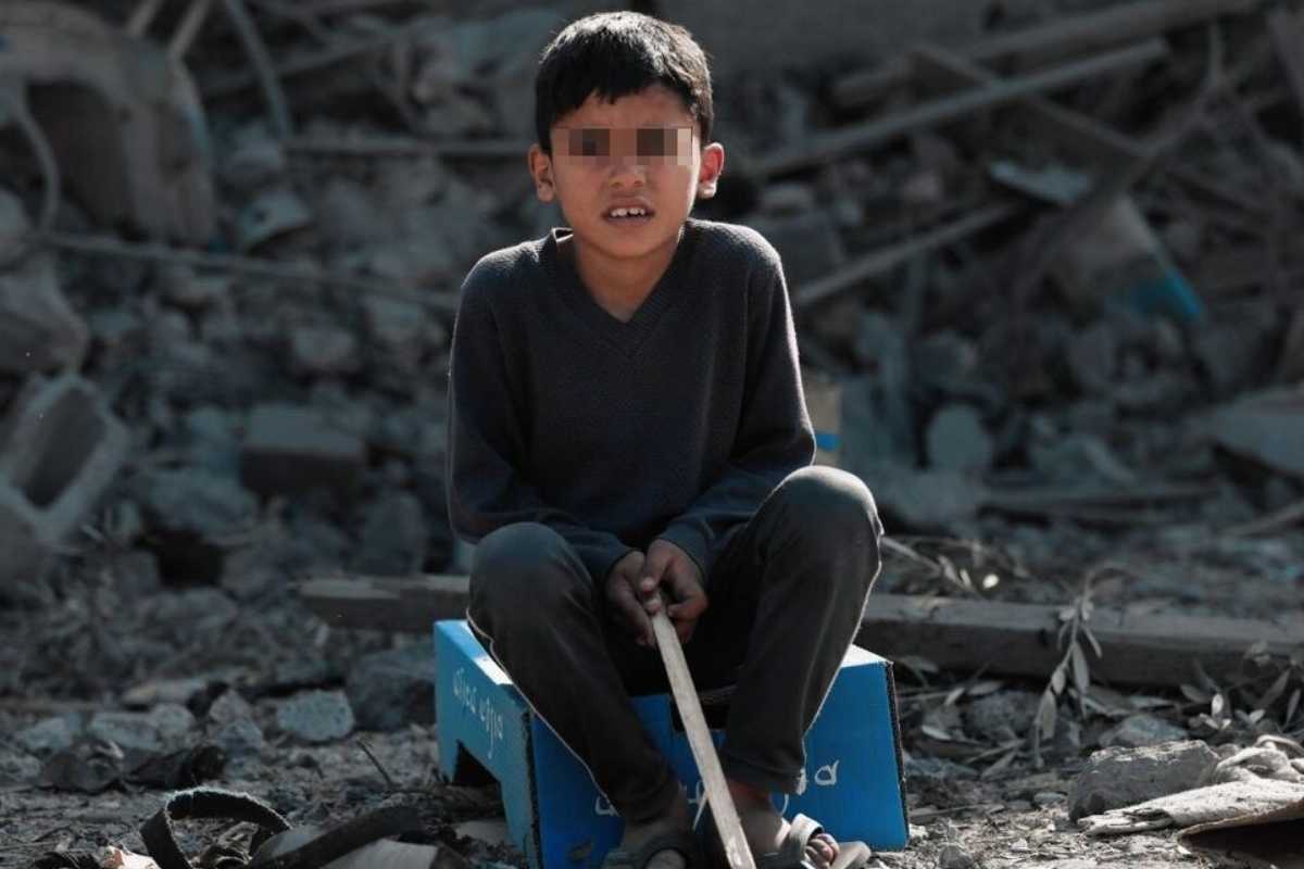 bimbo gaza