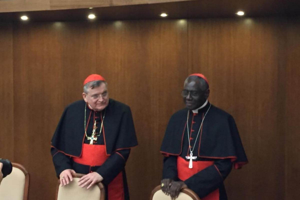 I cardinali Burke e Sarah non sono soli in questa missione: vescovi, rettori di santuari e monasteri stanno accogliendo con entusiasmo l’appello, segno di una sensibilità nuova che si sta diffondendo.