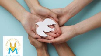 Mani che reggono una colomba della pace