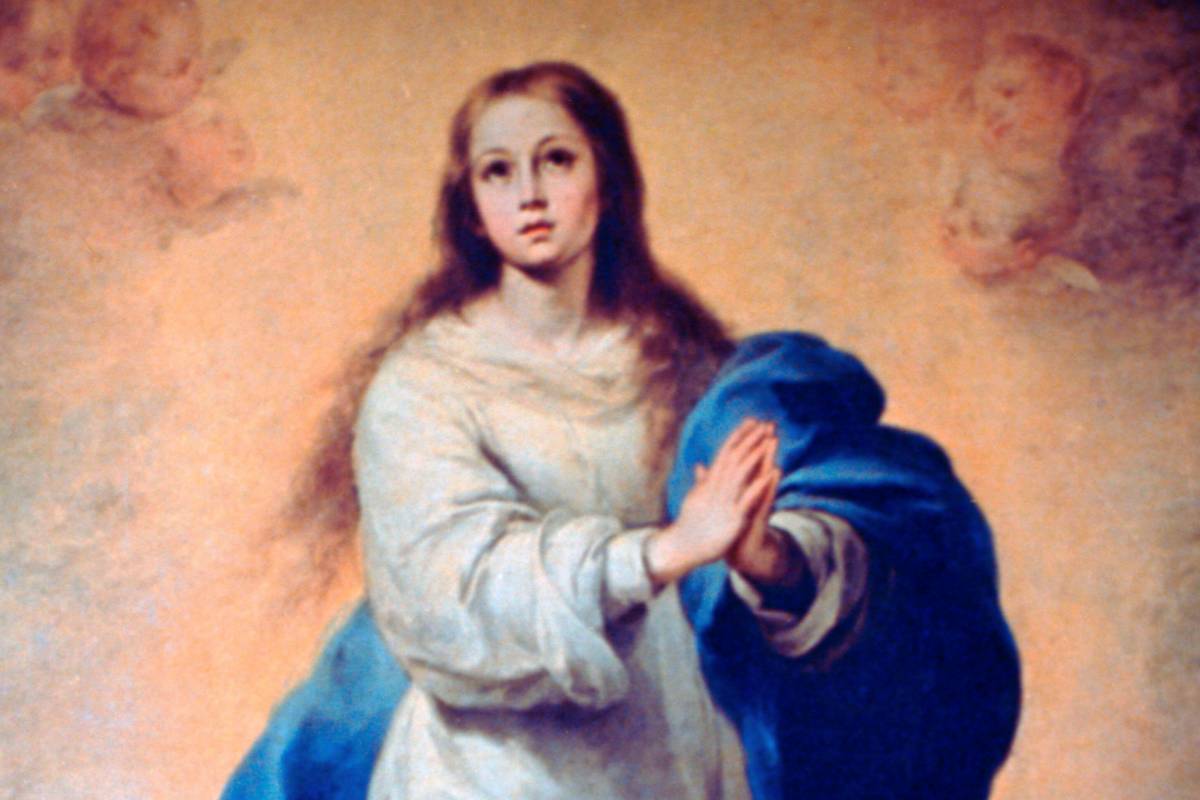 Immacolata Concezione