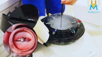 gioielli con embrioni umani