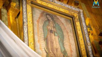 novena madonna guadalupe