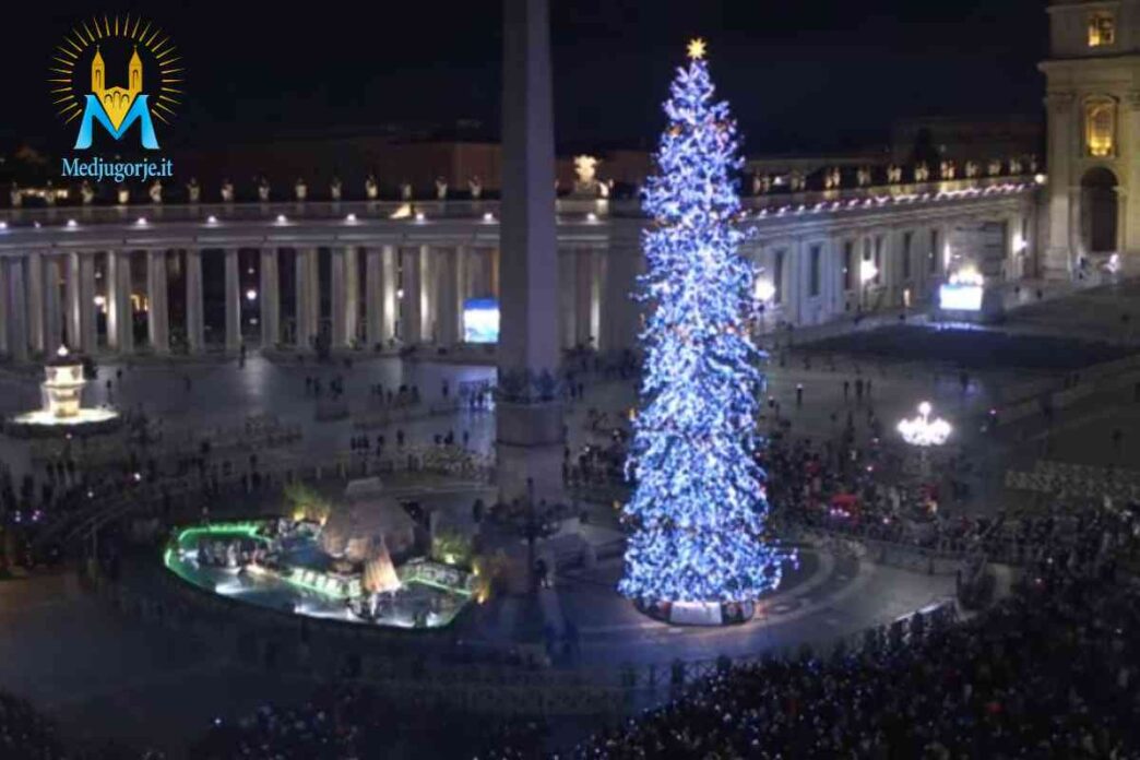 Albero di Natale acceso in piazza San Pietro