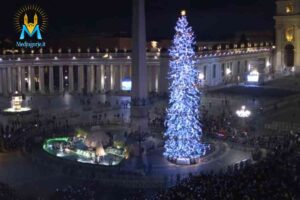 Albero di Natale acceso in piazza San Pietro