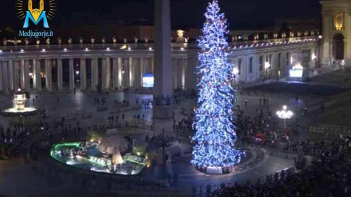 Albero di Natale acceso in piazza San Pietro