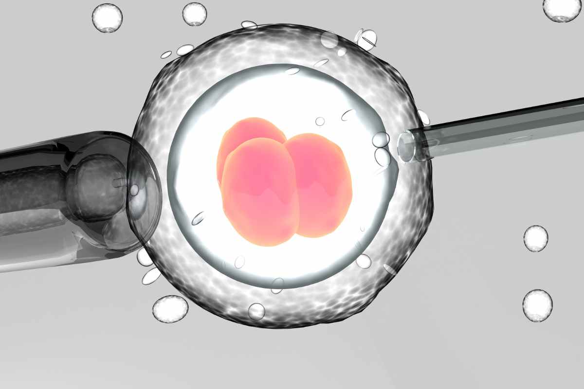 Fecondazione artificiale