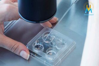 Fecondazione artificiale