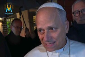 Papa Leone XIV in primo piano