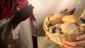 Vangelo di oggi 3 dicembre: "La compassione che sazia"