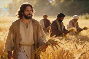 Vangelo di oggi 20 gennaio: "Il sabato è al servizio della vita"