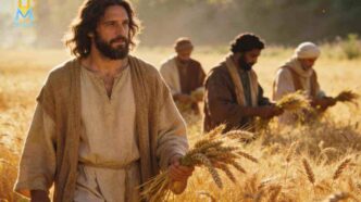 Vangelo di oggi 20 gennaio: "Il sabato è al servizio della vita"