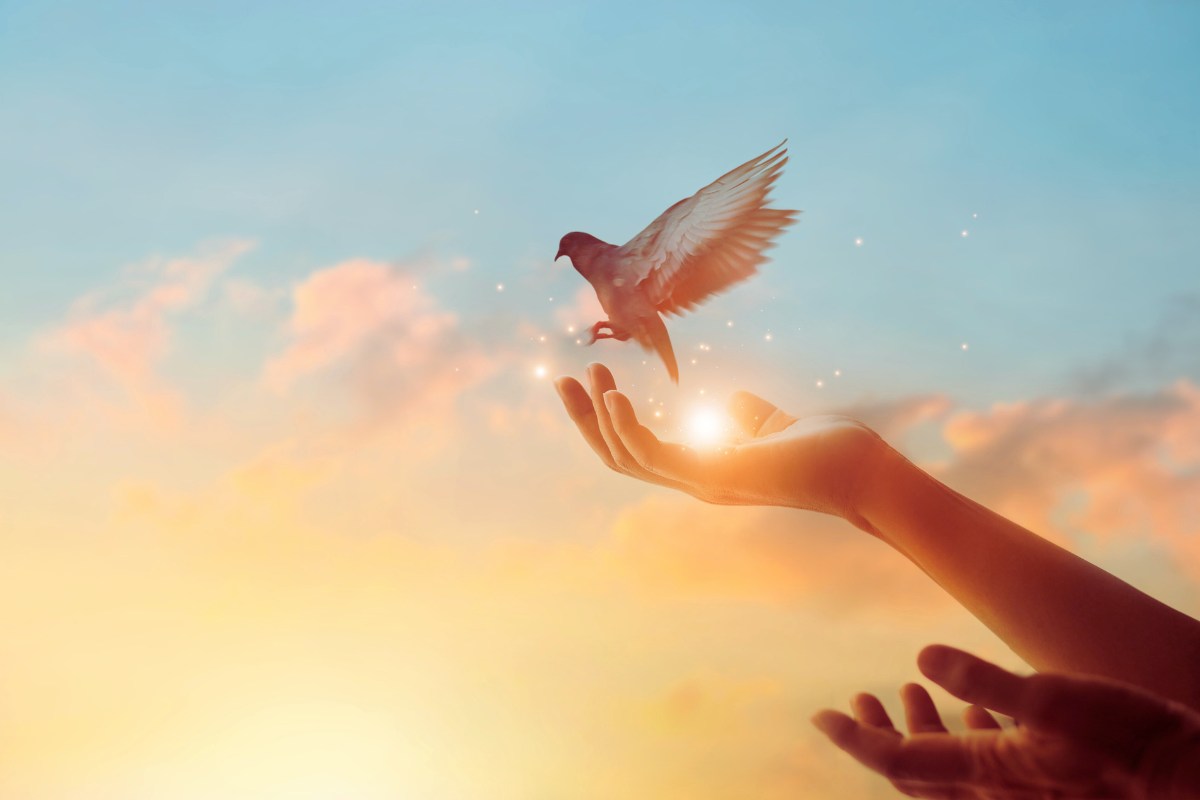 Diedero la vita per non abbandonare l’amico sacerdote