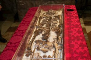 San Francesco reliquie