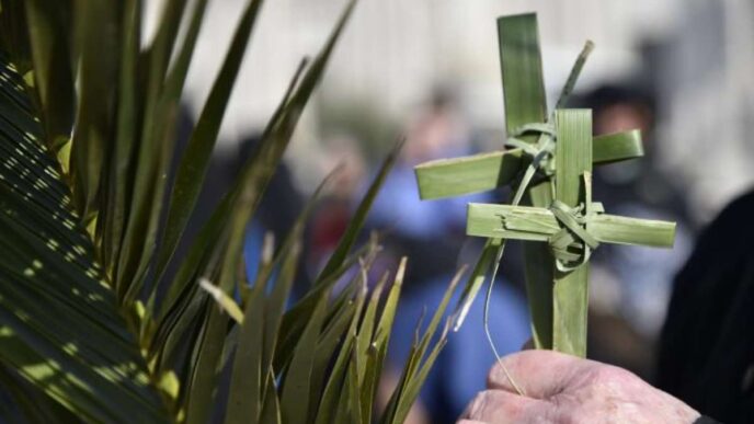 La Domenica delle Palme racconta il momento in cui Gesù, accogliendo l’acclamazione della folla, entra a Gerusalemme. Le folle lo accolgono con palme e rami di ulivo, segno di pace e di vittoria. Quello che inizia come un trionfo, con grida di gioia, ben presto si trasforma in un cammino di dolore e sofferenza.
