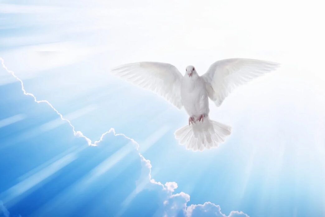Rappresentazione artistica dello Spirito Santo sotto forma di colomba luminosa