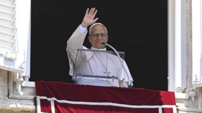 Nell'Angelus del 14 giugno Leone XIV ha commentato il Vangelo di Matteo: Gesù vede l'umanità stanca e manda operai nella messe. La grazia non si compra.