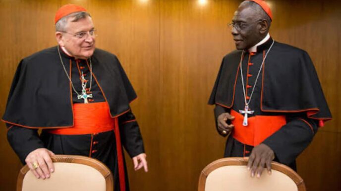 I cardinali Burke e Sarah chiedono a Leone XIV di fermare la sinodalità, l'omosessualismo cattolico e Fiducia supplicans nella Chiesa.