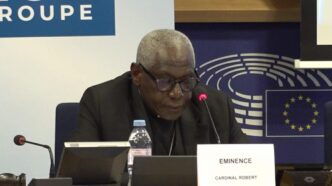 Il cardinale Robert Sarah denuncia al Parlamento UE il ricatto gender imposto ai Paesi africani in cambio di aiuti e diritti