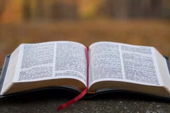Perché in tanti Paesi settembre è il mese della Bibbia: il legame con San Girolamo, la Vulgata e la festa liturgica del 30 settembre.