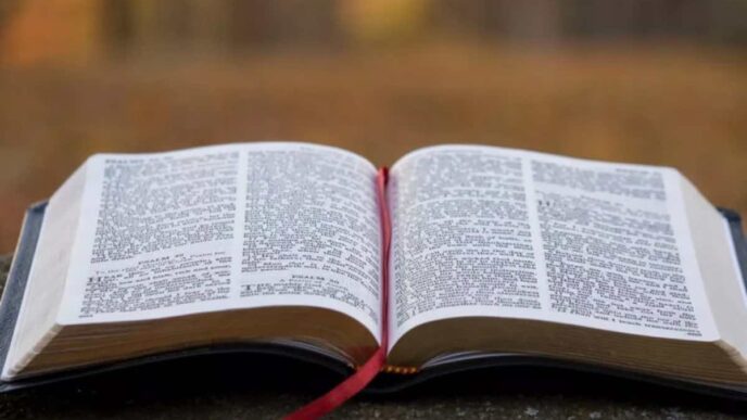 Perché in tanti Paesi settembre è il mese della Bibbia: il legame con San Girolamo, la Vulgata e la festa liturgica del 30 settembre.